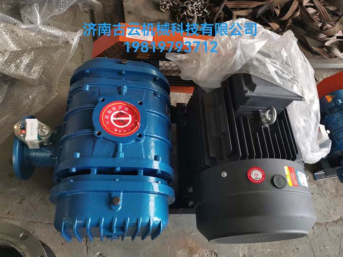 大双油箱风机(图1)