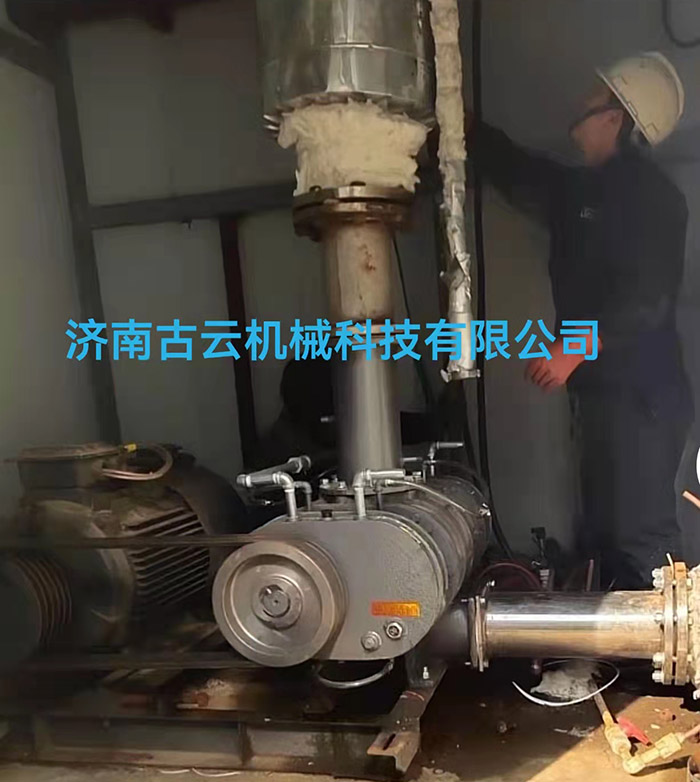 特殊气体风机(图1)
