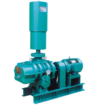 罗茨鼓风机(图1)