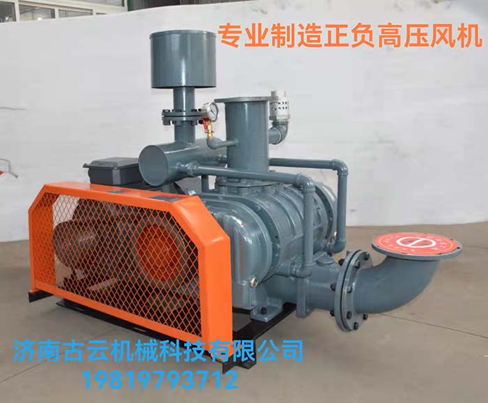 罗茨真空泵(图1)